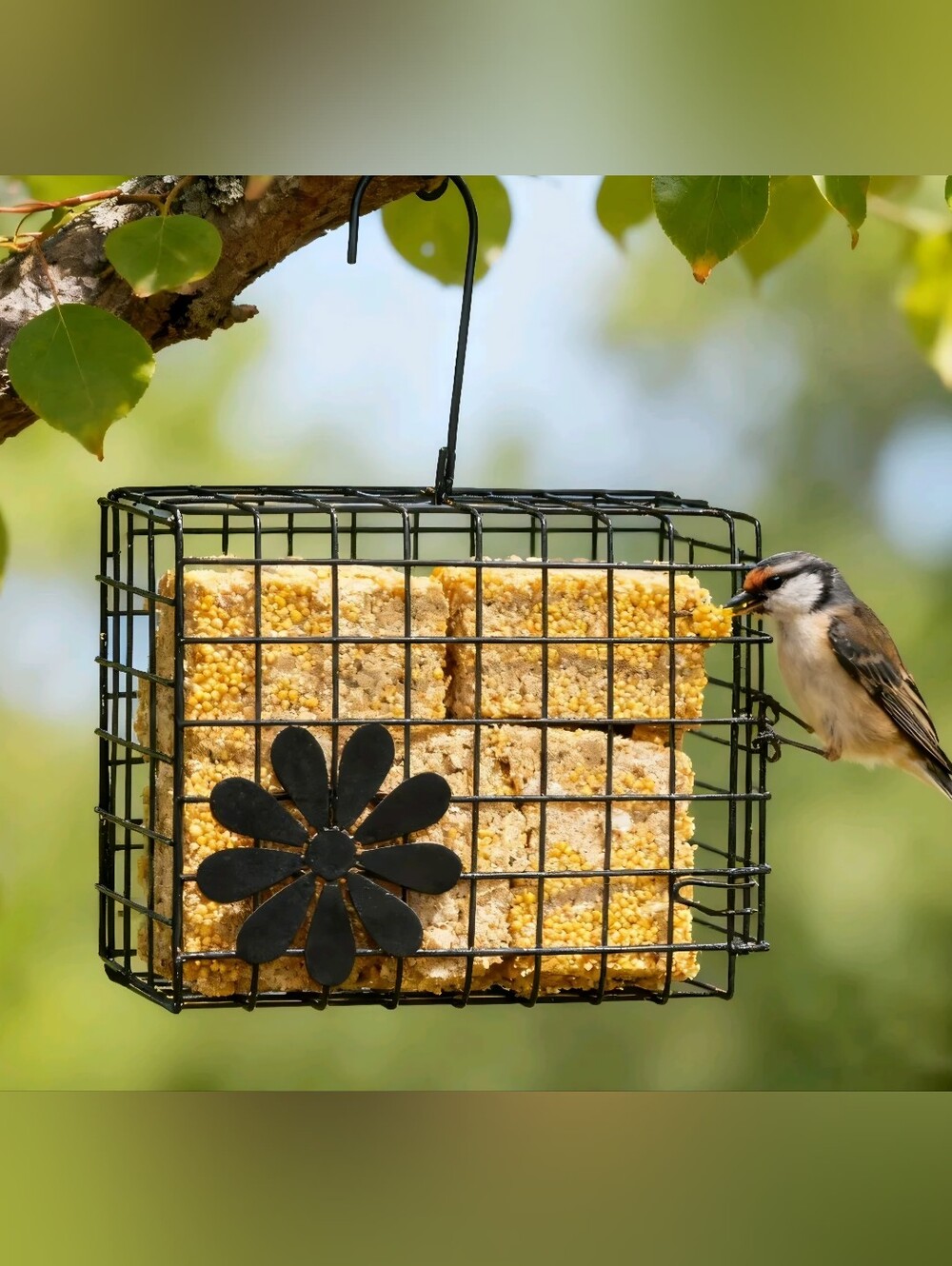 Vibrant Life Seed Cake Bird Feeder
